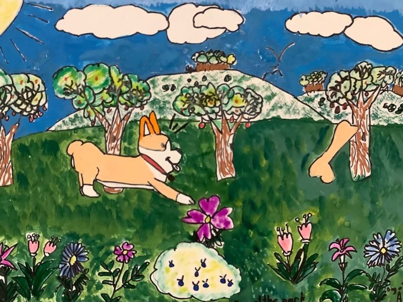 三等奖——Dog at the park_Alexandra Huynh_9岁